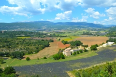 Ruta-de-la-lavanda-Sault