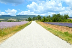 Ruta-de-la-lavanda-camino-Sault